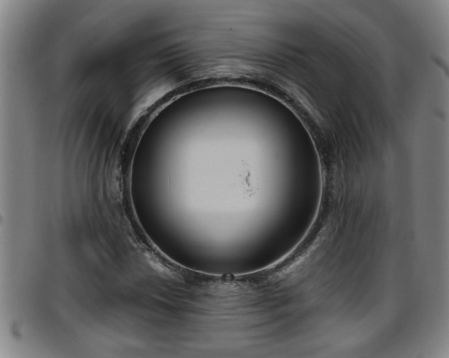 X0000096401018200801311346