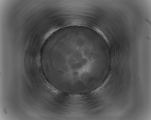 X0000096401019200801311346