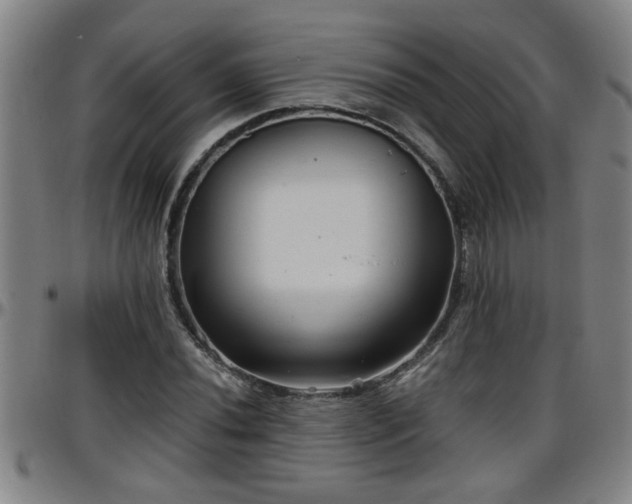 X0000096401020200801311346