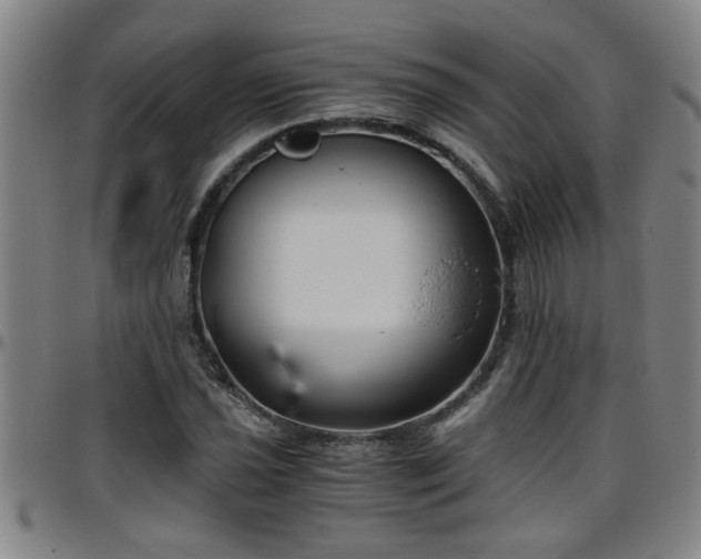 X0000096401021200801311346