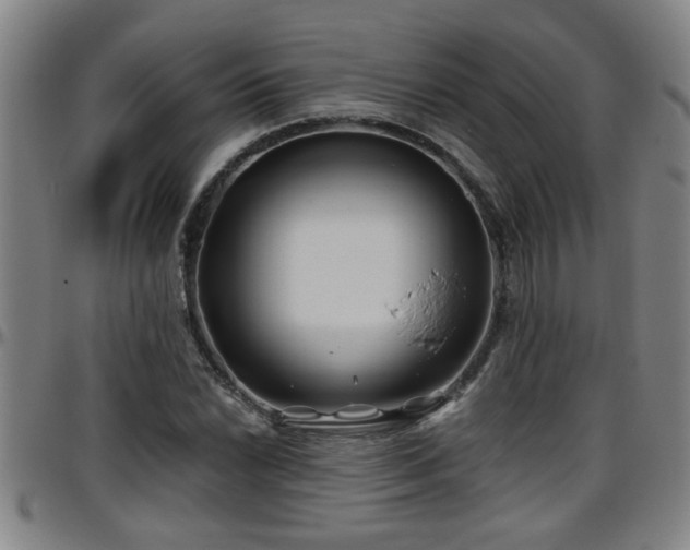 X0000096401022200801311346