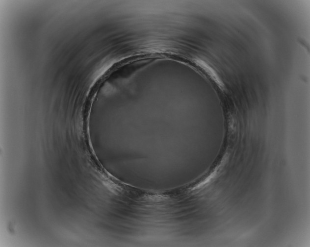 X0000096401023200801311346