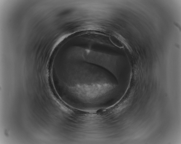 X0000096401024200801311346