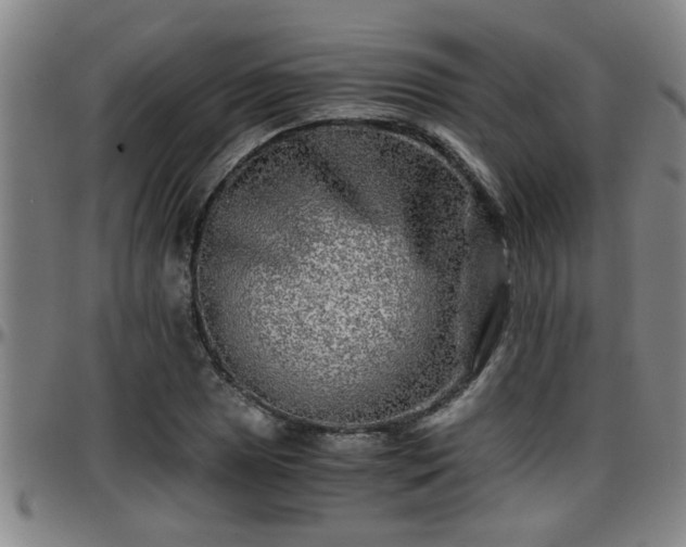 X0000096401025200801311346