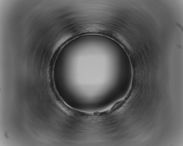 X0000096401026200801311346