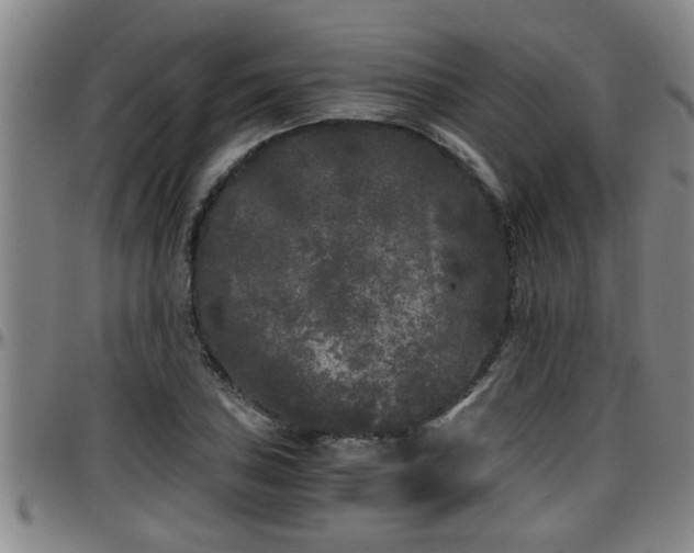 X0000096401027200801311346