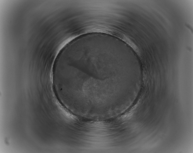 X0000096401028200801311346