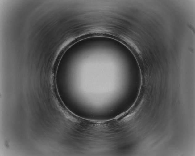 X0000096401029200801311346