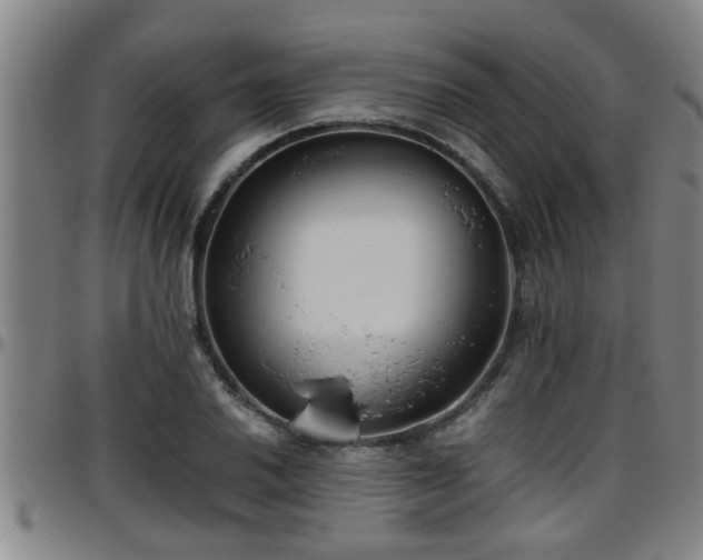 X0000096401030200801311346