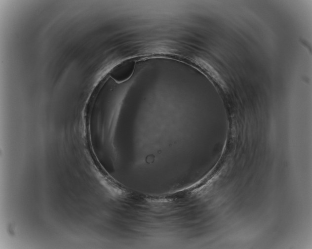 X0000096401031200801311346