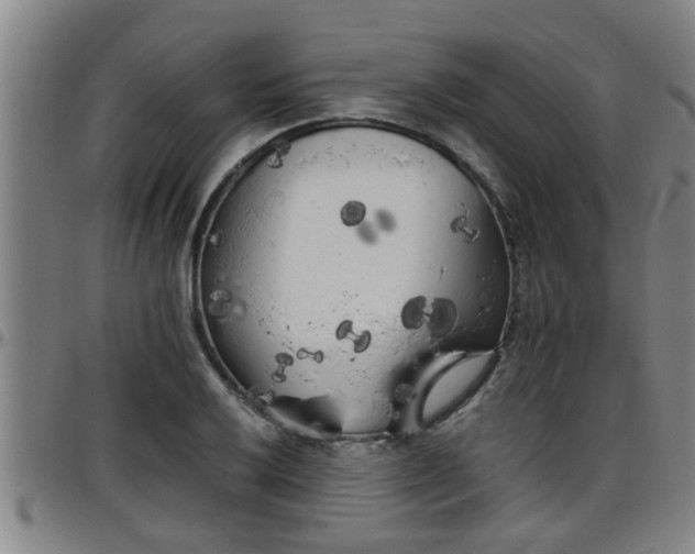 X0000096401032200801311346