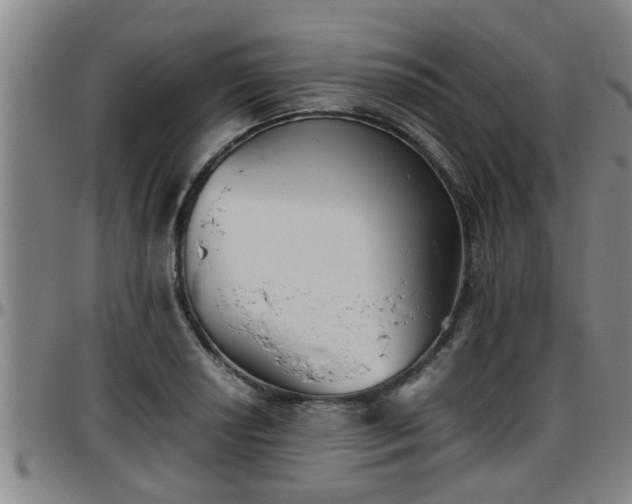 X0000096401034200801311346