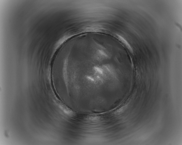 X0000096401035200801311346