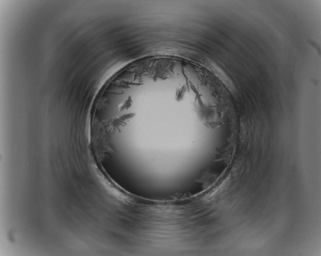 X0000096401036200801311346