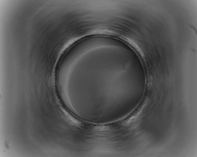 X0000096401037200801311346