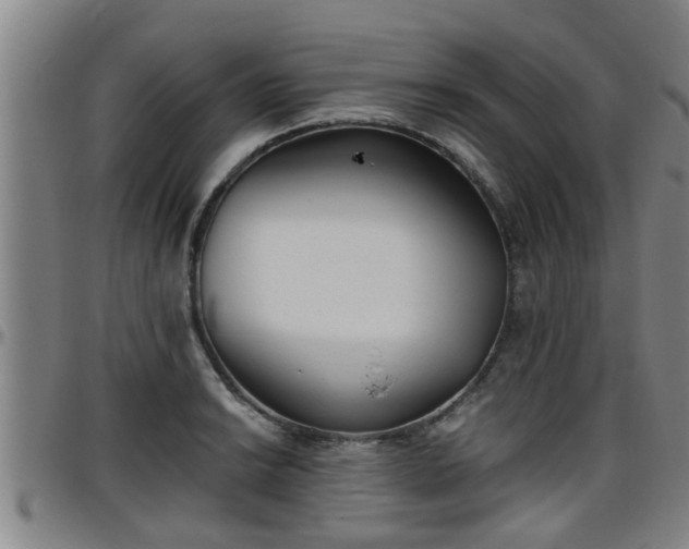 X0000096401038200801311346