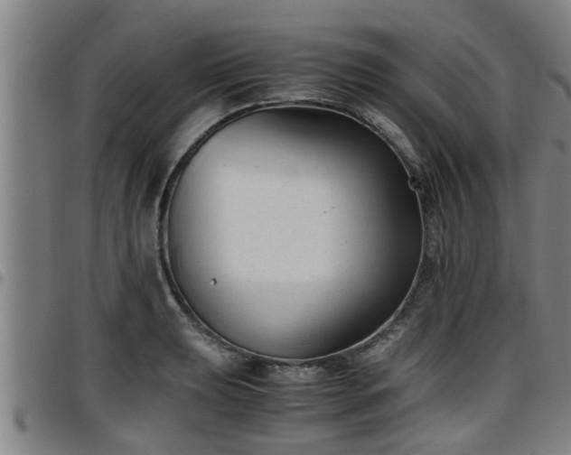 X0000096401039200801311346