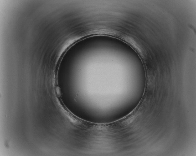 X0000096401040200801311346