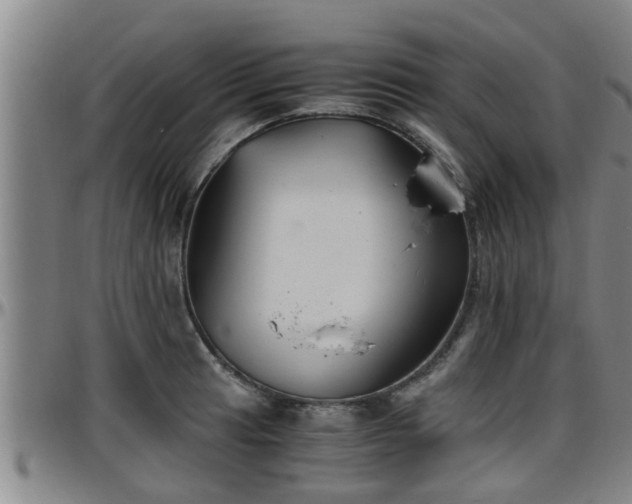 X0000096401041200801311346