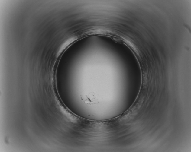 X0000096401042200801311346