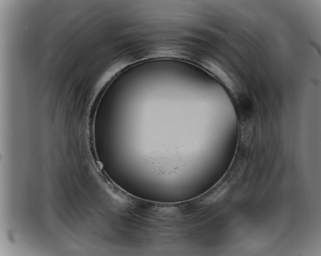 X0000096401043200801311346