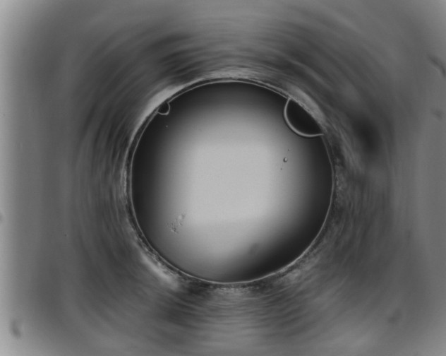 X0000096401044200801311346