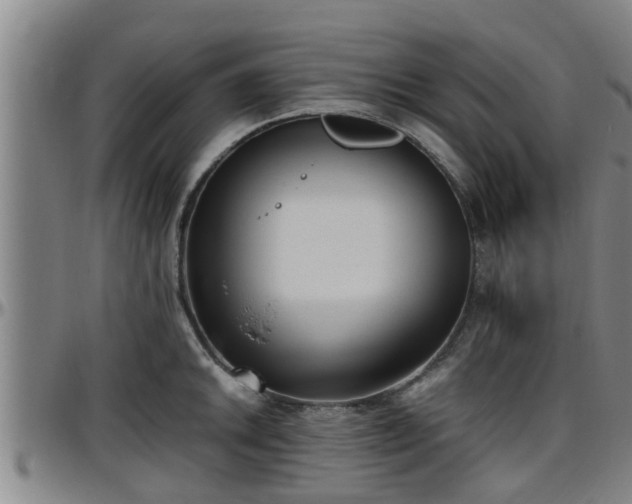 X0000096401046200801311346