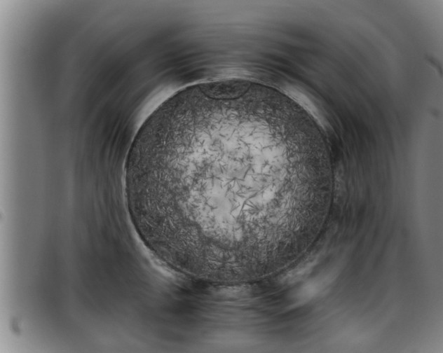 X0000096401047200801311346