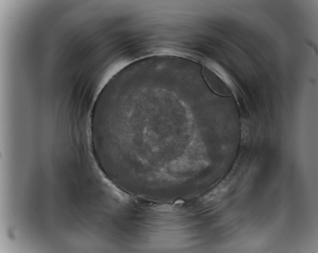 X0000096401048200801311346