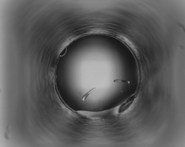 X0000096401049200801311346