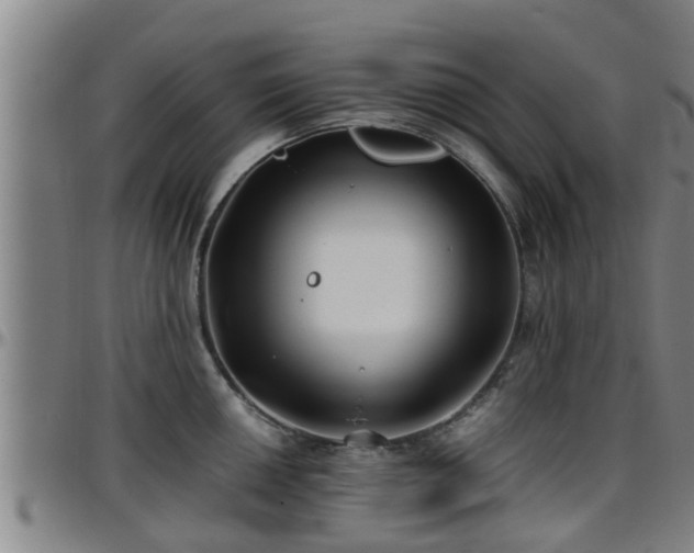 X0000096401050200801311346