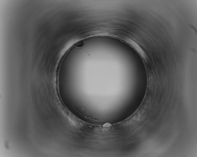 X0000096401051200801311346