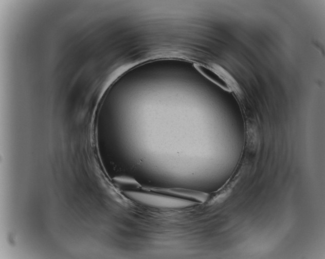 X0000096401052200801311346