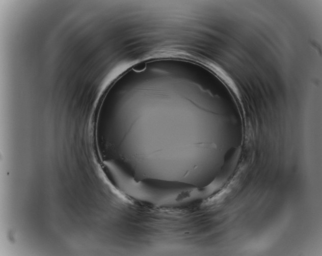 X0000096401053200801311346