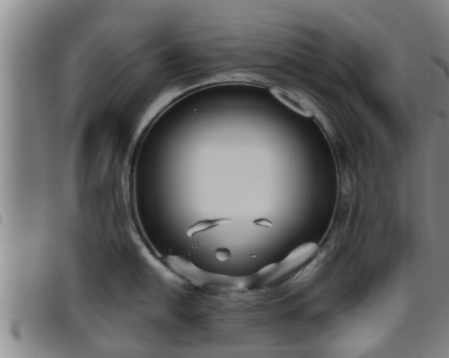 X0000096401054200801311346