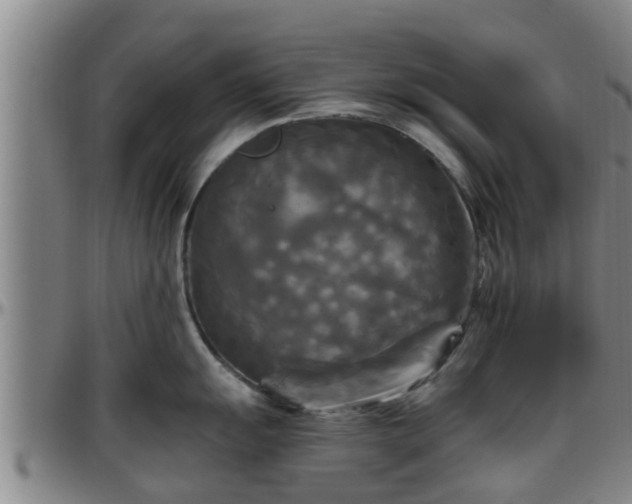 X0000096401055200801311346