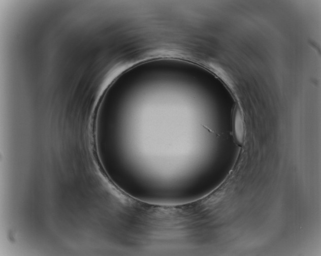 X0000096401056200801311346