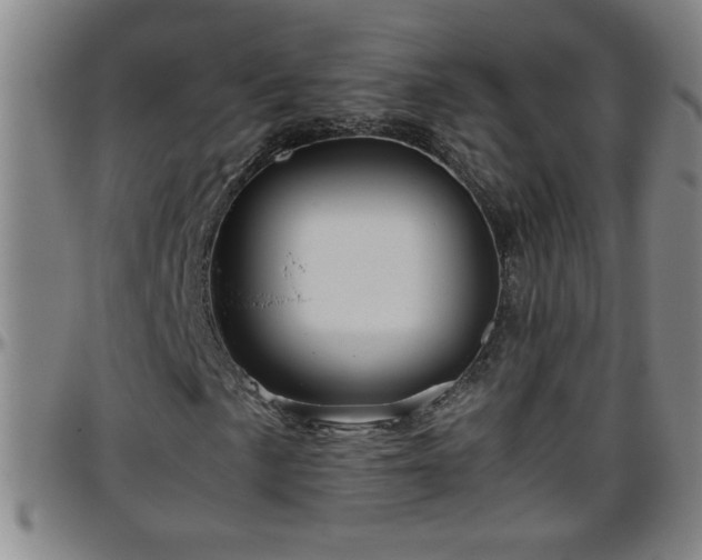 X0000096401057200801311346