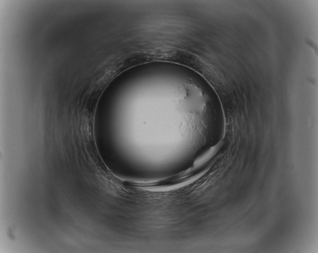 X0000096401058200801311346