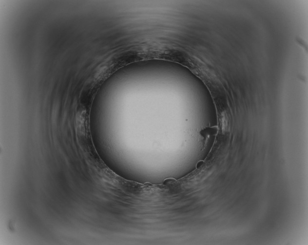 X0000096401059200801311345