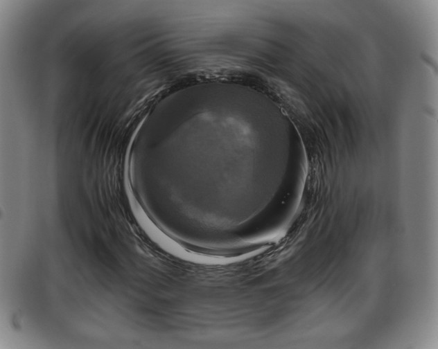 X0000096401060200801311345