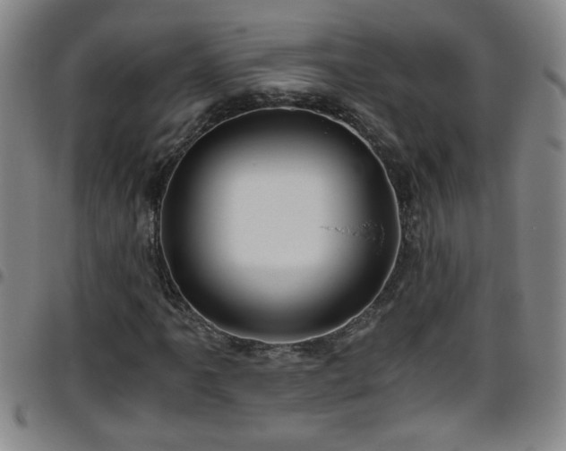 X0000096401061200801311345