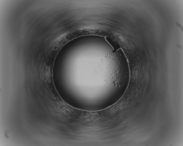 X0000096401062200801311345