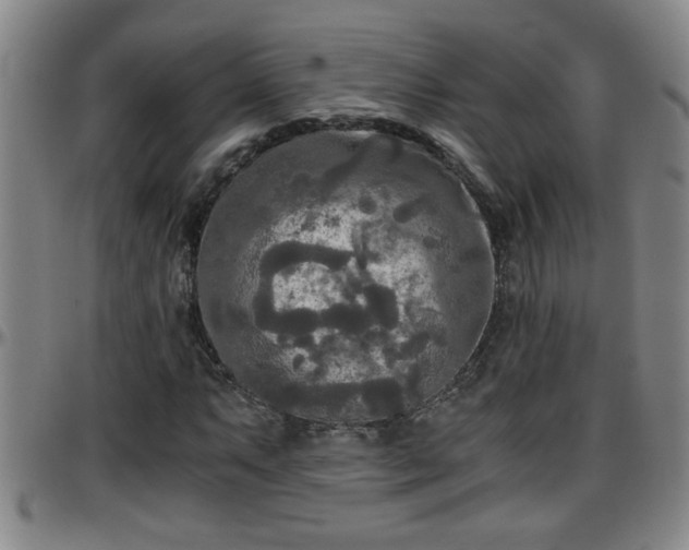 X0000096401063200801311345