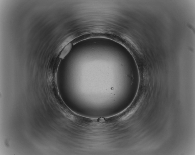 X0000096401065200801311345