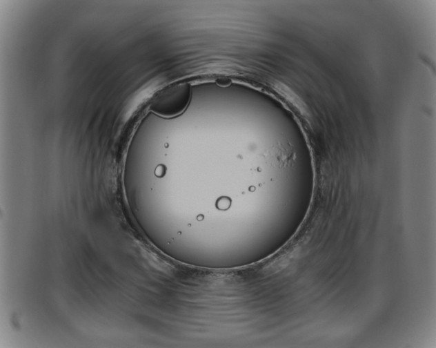 X0000096401067200801311345