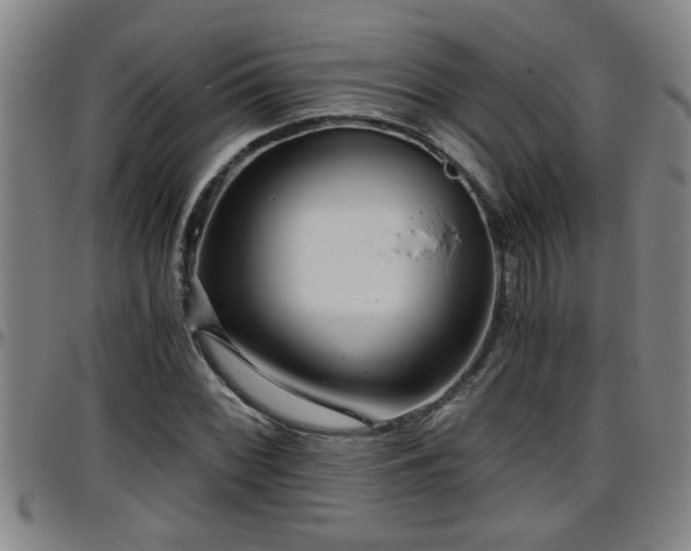 X0000096401068200801311345