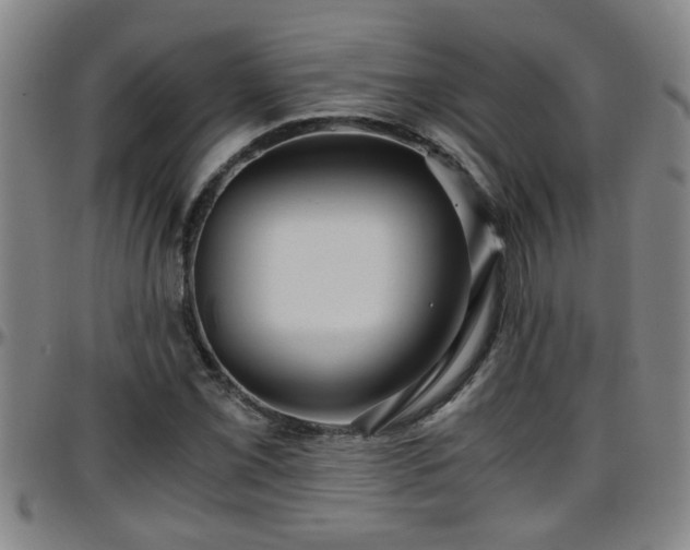 X0000096401069200801311345