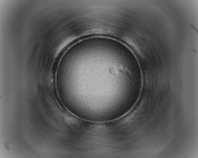 X0000096401070200801311345