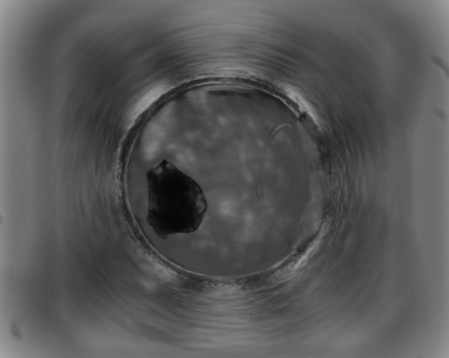 X0000096401071200801311345